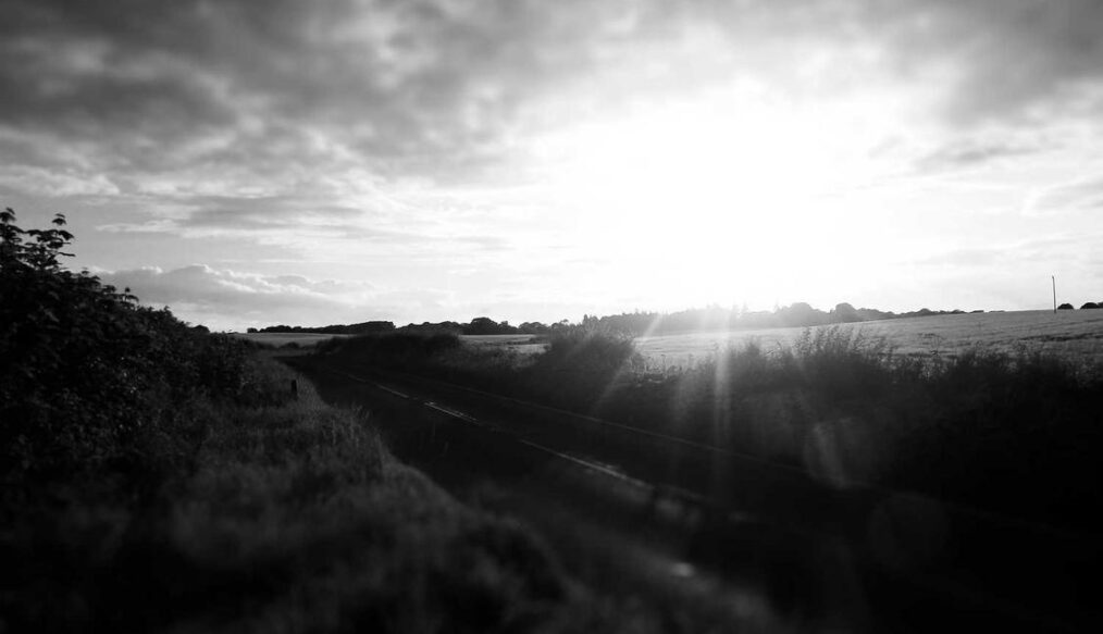 Est at nesciunt culpa et