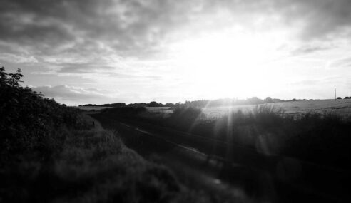 Est at nesciunt culpa et